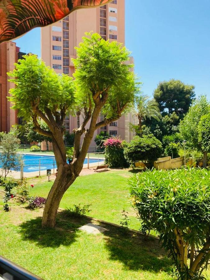 Duplex Mensual Vacaciones. Apartamento Benidorm
